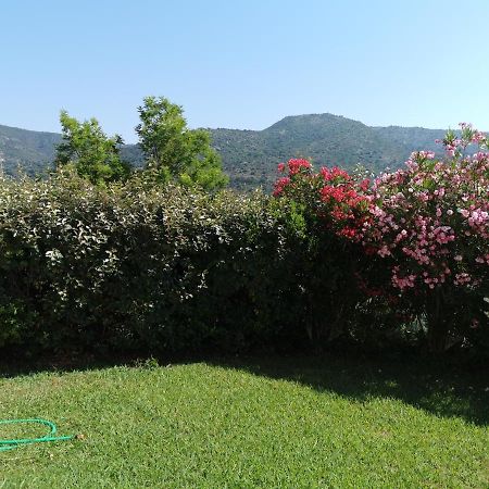 Ou Souleou Apartment Bormes-les-Mimosas Luaran gambar