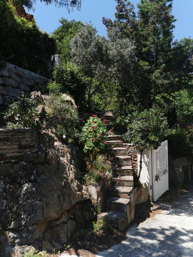 Ou Souleou Apartment Bormes-les-Mimosas Luaran gambar